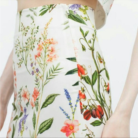 ✨NWT | Zara | Floral Midi skirt - Picture 7 of 9